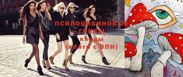 а пвп мука Каменка