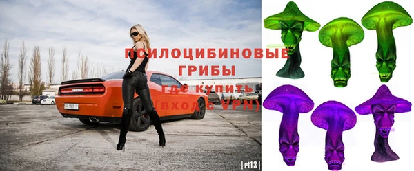 а пвп мука Каменка